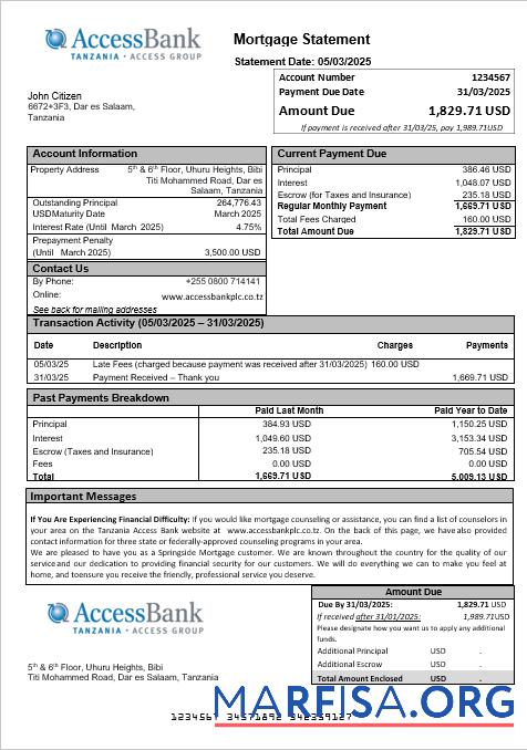 Printable Tanzania Access Bank mortgage statement in Word and PDF formats download for verification